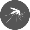 Pest Control Services for Mosquitoes in Hyderabad
